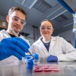 Beyinə fiziki təzyiq neyronların özünüməhv etmə proqramlaşdırmasını tetikleyebilir