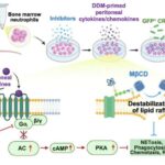 Geniş yayılmış “gücləndirilmiş qaya aşınması” qlobal istiləşməni yavaşlada bilər
