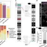 Platin elektrodlarının daha realistik bir mənzərəsi
