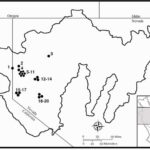 Pulsar vaxtı yaxınlıqdakı qaranlıq maddənin “sub-halo”suna işarə edir