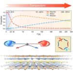 Doqquz şəhərdə aparılan araşdırma göstərir ki, daha zəngin məhəllələrdə daha çox səki kölgəsi olur
