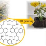 Fotonik inteqral sxemlər işıq vəziyyətlərinin proqramlaşdırıla bilən qeyri-Abel “örgüsünə” imkan verir