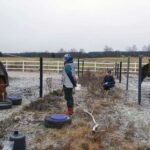 Bonobolarda seks zamanı ritm ünsiyyətin təkamülünə yeni baxışlar təqdim edir