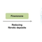 Ağciyər şişləri immun hücumlarından qaçmaq üçün beyindən necə istifadə edir