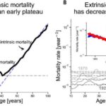 Günəşin maqnit daxili hissəsinin yeni 3D xəritəsi dağıdıcı günəş partlayışlarının proqnozlarını yaxşılaşdıra bilər