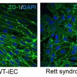 Bitkilərin niyə daha tez çiçək aça biləcəyi: Kiçik şeh damcıları bitkilərdə erkən çiçəklənməyə səbəb olur