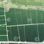 Alimlər nanokristalların sferik birləşmələrinin əmələ gəlmə mexanizmini aşkar ediblər