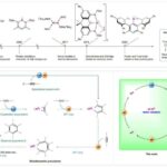 Uzunmüddətli radio müşahidələri relyativistik ikili pulsar sistemini araşdırır