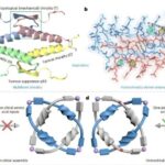 HD 176986 planet sistemində üçüncü ekzoplanet aşkar edilib