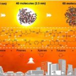 5000 illik bürokratiya: Qərbi İranda 7000-dən çox tarixdən əvvəlki möhür izi aşkar edilib