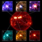 Niyə dişi karibuların buynuzları var? Arktika tədqiqatı qidalanmaya işarə edir