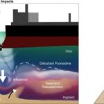 Anthropic-in “anonim” müsahibələri bir hüquqşünasla mübahisəyə səbəb oldu