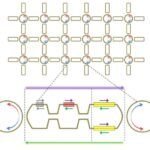 Yeni 3D çap mürəkkəbi 70% liqnin istifadə edir və su ilə təkrar emal olunur