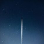 Yeni doğulmuş heyvanların fitri qərəzləri adaptiv qərar qəbuletmə modelinə ilham verir