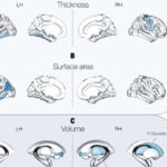 Topoloji antenalar 6G şəbəkələrinin yolunu aça bilər