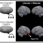 Böyük Göllərin qış fırtınaları ilə qlobal iqlim modelləri arasında yeni əlaqələrin kəşfi