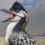 Davamlılıq istiqrazları iqlim dəyişikliyi risklərini aradan qaldırmaq üçün sığorta həlli kimi xidmət edə bilər