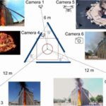 Nanə, evkalipt və çili birləşmələri immun hüceyrələrində iltihaba qarşı güclü sinergiyanı ortaya qoyur