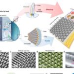Fotonik inteqral sxemlər işıq vəziyyətlərinin proqramlaşdırıla bilən qeyri-Abel “örgüsünə” imkan verir