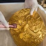 Su yataq böcəklərinin kriptonitidir: Parazitlər nəyin bahasına olursa olsun yaş səthlərdən qaçırlar