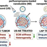 Kimya ilə işləyən “nəfəs alan” membran kiçik məsamələri özü açıb bağlayır