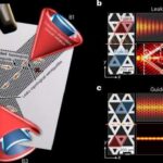 Panik pozğunluğu olan insanların beynində struktur fərqləri aşkar edilib