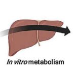 Enerji itkisi makroskopik miqyasda kvant termal Hall effektinə səbəb olur