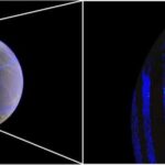 Erkən həyat çətinlikləri və təcrübələri, yarasaların yetkinlik dövründə necə cəsarətli davranmalarını formalaşdırır