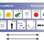 Havay adalarının altındakı bərk, dəmirlə zəngin meqastruktur seysmik dalğaları yavaşladır və şleyfin qalxmasına səbəb ola bilər