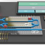 Göbələk infeksiyaları artdıqca nələrə diqqət yetirmək lazımdır: Yağ istifadə edən zülalları tez bir zamanda “tərcümə edə” bilən növlər