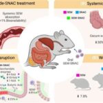 Peyk görüntüləri və süni intellekt milli məlumatlar tərəfindən gizlədilən inkişaf ehtiyaclarını ortaya qoyur