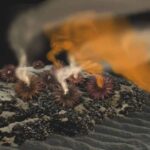 Qan analizi Alzheimer diaqnozunun dəqiqliyini 94,5%-ə qədər artırır