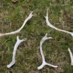 Günəşin uzaq tərəfində gözlənilməz günəş püskürmələri yeni proqnoz metodunu təsdiqləyir