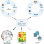 Yeni araşdırma göstərir ki, demokratiyanın dərin qlobal kökləri var – təkcə Yunanıstan və Roma deyil