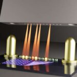 Avropadakı sıx, qaranlıq meşələr müasir bir fenomendir