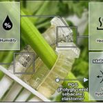 Şəbəkələrə gəldikdə, təbiətin bir üstünlüyü var