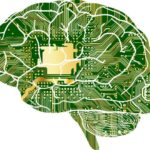 Tədqiqatlar göstərir ki, duş və tualet vərdişlərinin dəyişdirilməsi İngiltərənin beş milyard litrlik su çatışmazlığını aradan qaldırmağa kömək edə bilər