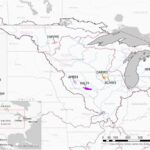 Kompost edilə bilən robot bitki qidasına çevrilməzdən əvvəl 1 milyondan çox istifadəyə tab gətirdi