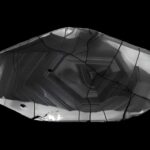 Qlobal araşdırma göstərir ki, yağışlar quş populyasiyalarına temperatur qədər təsir göstərə bilər