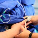 Floridada at süni mayalandırma mərhələsi: Dondurulmuş əridilmiş sperma yumurtanı mayalandırır