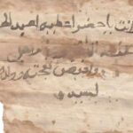 Nanohissəciklər sistemi 1-ci tip diabetin qarşısını almaq üçün mRNT təmin etməkdə perspektivli olduğunu göstərir