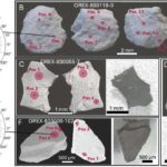 Xərçəng hüceyrələrində gizli dərman rezervuarları müalicəyə müqaviməti izah edə bilər