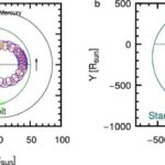 Mamır qəbir oğurluğu ilə bağlı sirri necə həll etməyə kömək etdi