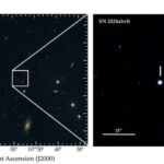 Qədim Yunan keşişləri Eleusinian Sirləri dövründə ergot göbələyini psixodelik içkiyə çevirmiş ola bilərlər.
