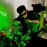 Cannibalizm gənc mavi xərçəngkimilərin böyük bir dişləməsini məhv edir, lakin dayaz sular sığınacaq təklif edir