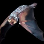 Ekspozisiyaya genişmiqyaslı baxış göstərir ki, ətraf mühitə məruz qalma insan sağlamlığının nəticələrinin formalaşmasında genetika ilə rəqabət aparır.