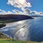 Dim Xərçəng bürcündə zövq alır