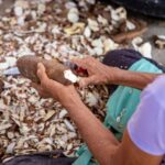 Süni intellekt sosial sahibkarlara yeni maliyyə mənbələrinin açılmasına kömək edə bilər