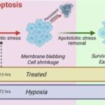 Elektrik enerjisi istehsal edən bakteriyalar: Molyusk əsaslı gel çirkab sularını və qidanı necə izləyə bilər