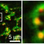 Hədəfsiz analizlər əslində nə qədər şey görür? Model kimyəvi kor nöqtələri xəritələşdirir